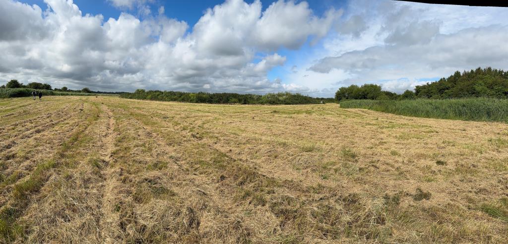 Lot: 163 - APPROXIMATELY NINE ACRES LAND INCORPORATING FLIGHT POND IN IDYLLIC LOCATION - View of the land 2